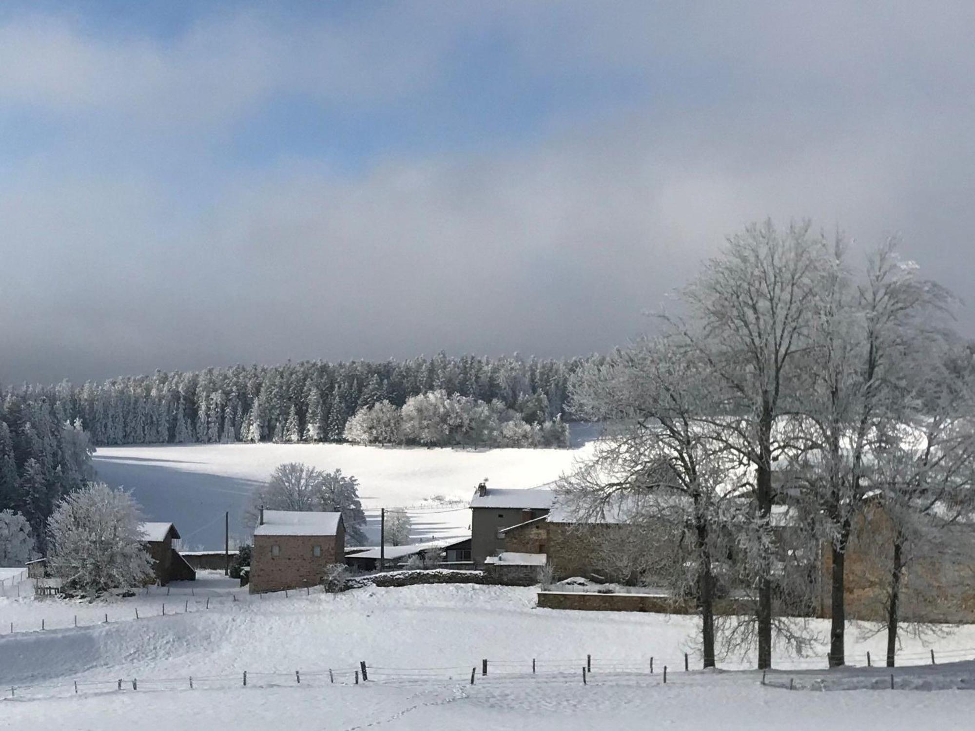 Gite Renove 2018, Au Coeur De La Nature, Activites Plein Air, 3 Chambres, Jardin Privatif, Proche Via Fluvia - Fr-1-582-261 Saint-Julien-Molhesabate Exterior foto